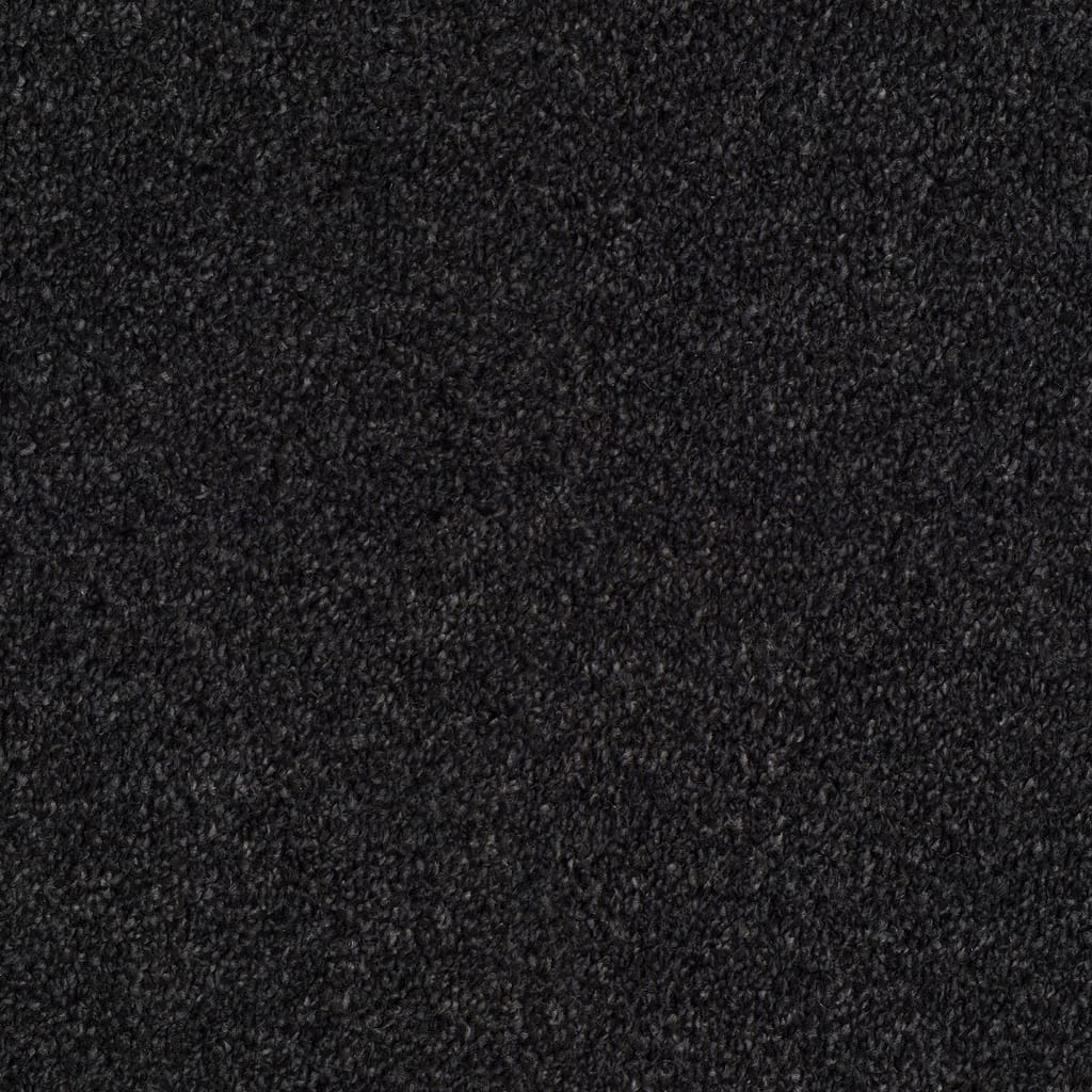Black Carpet 0801 pay weekly carpets